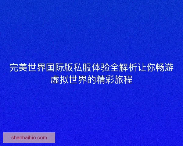 完美世界国际版私服体验全解析让你畅游虚拟世界的精彩旅程